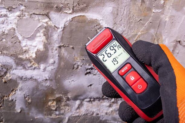 Mold Removal and Inspection in Lancaster, WI