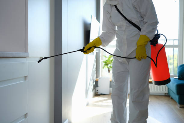 Best Emergency Mold Removal  in Lancaster, WI