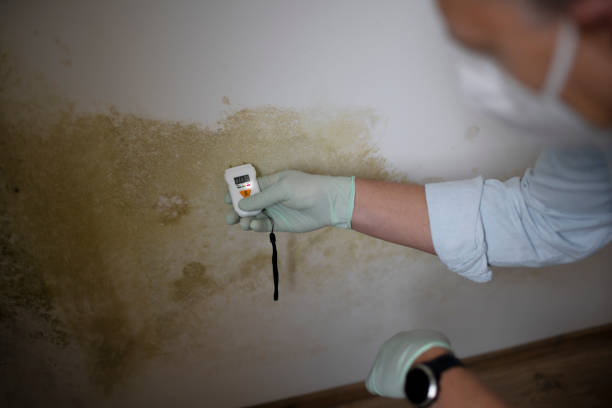 Best Residential Mold Removal  in Lancaster, WI