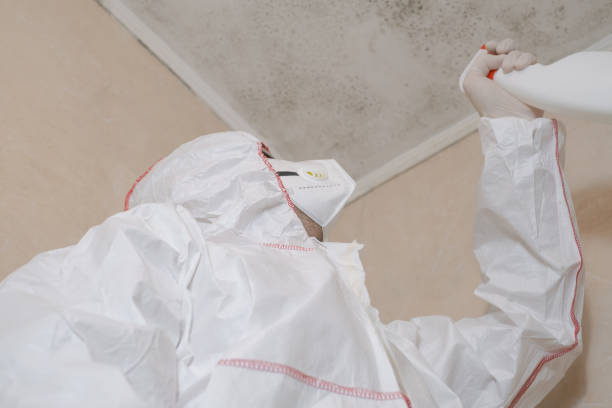 Best Office Mold Removal Services  in Lancaster, WI