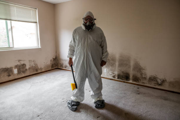 Best Mold Damage Repair  in Lancaster, WI