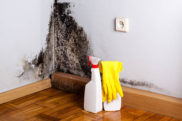 Best Mold Cleaning Services  in Lancaster, WI